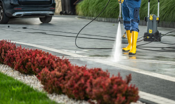 Professional Pressure Washing Services in Waynesboro, VA